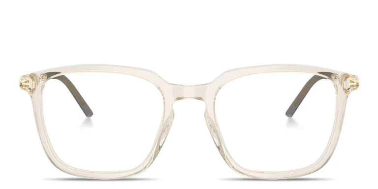 Shop Moncler Logo Signature Unisex Panthos Eyeglasses in Clear online.