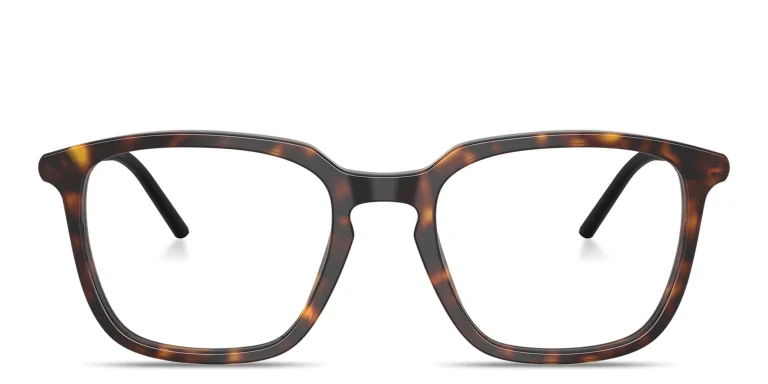 Shop Moncler Logo Signature Unisex Panthos Eyeglasses in Havana online.