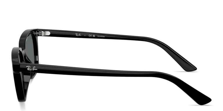 Shop Ray-Ban Zaya Unisex Pillow Sunglasses in Black online.