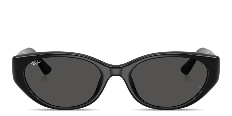 Shop Ray-Ban Logo Signature Unisex Pillow Sunglasses in Black online.