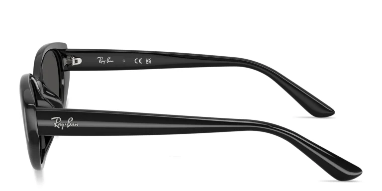 Shop Ray-Ban Logo Signature Unisex Pillow Sunglasses in Black online.