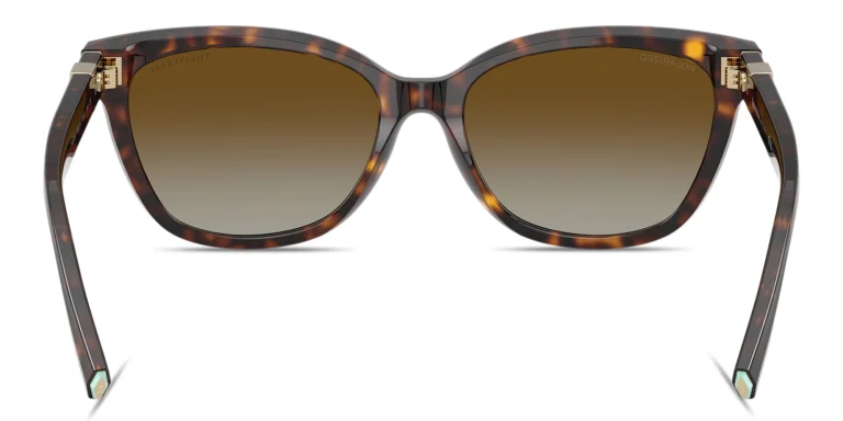 Shop TIFFANY Tiffany T Cat-Eye Sunglasses in Havana online.