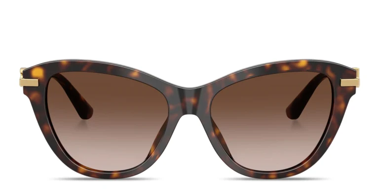 Shop Dolce & Gabbana DG Butterfly Sunglasses in Havana online.