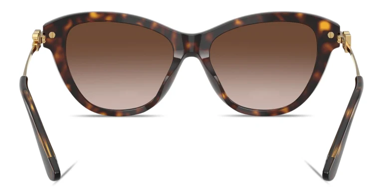 Shop Dolce & Gabbana DG Butterfly Sunglasses in Havana online.