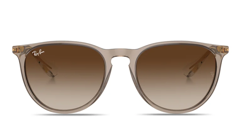 Shop Ray-Ban Erika Classic Unisex Panthos Sunglasses in Brown online.